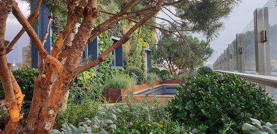 The Nest in Treehouse